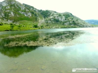 Descenso Sella - Lagos de Covadonga; valles de los pirineos; puente el pilar;verano viajes senderism